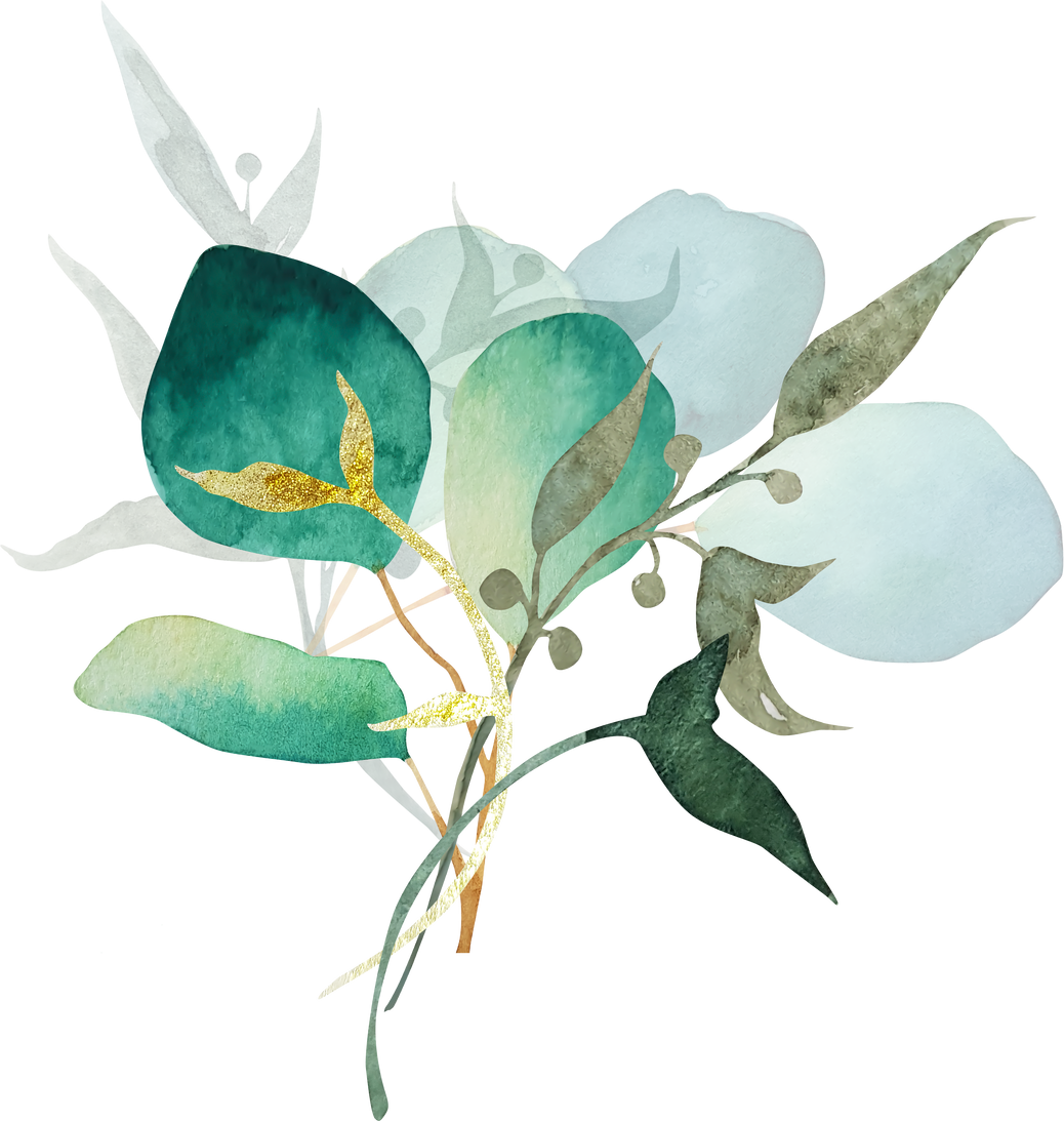 Green Eucalyptus Branch Watercolor Clipart