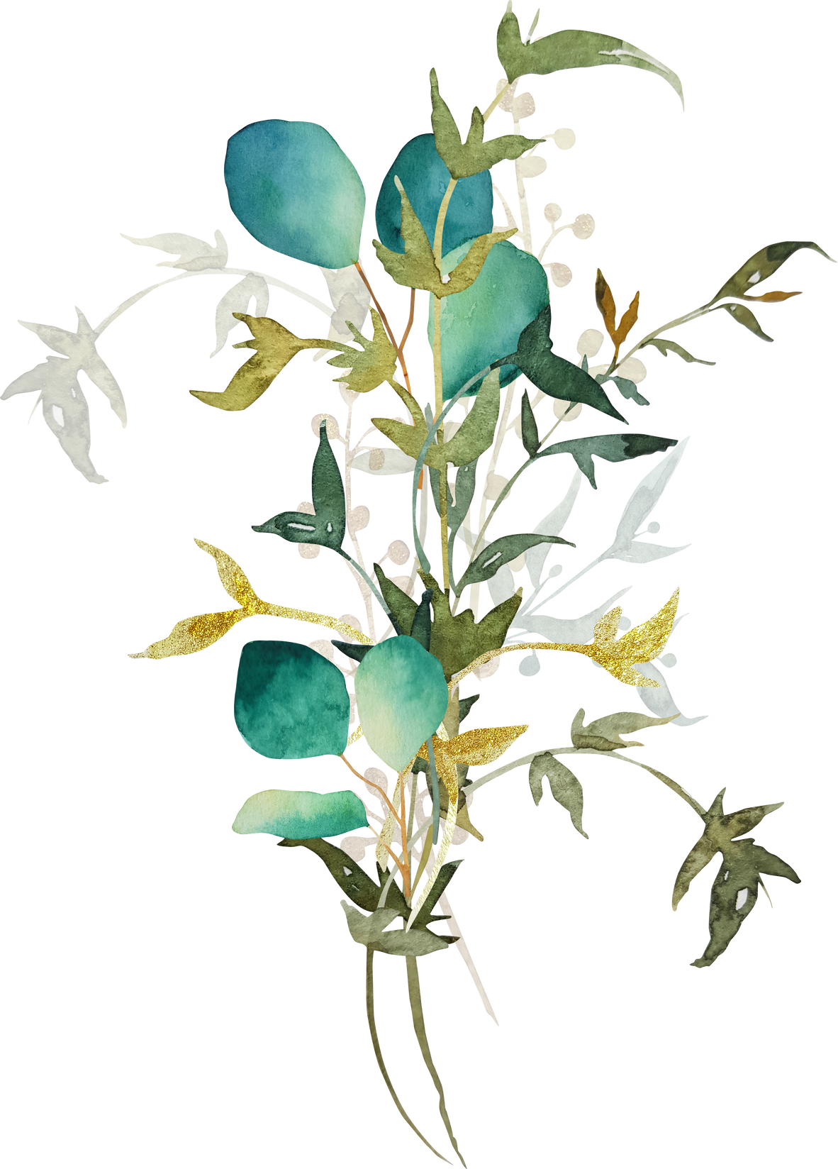 Green Eucalyptus Branch Watercolor Clipart