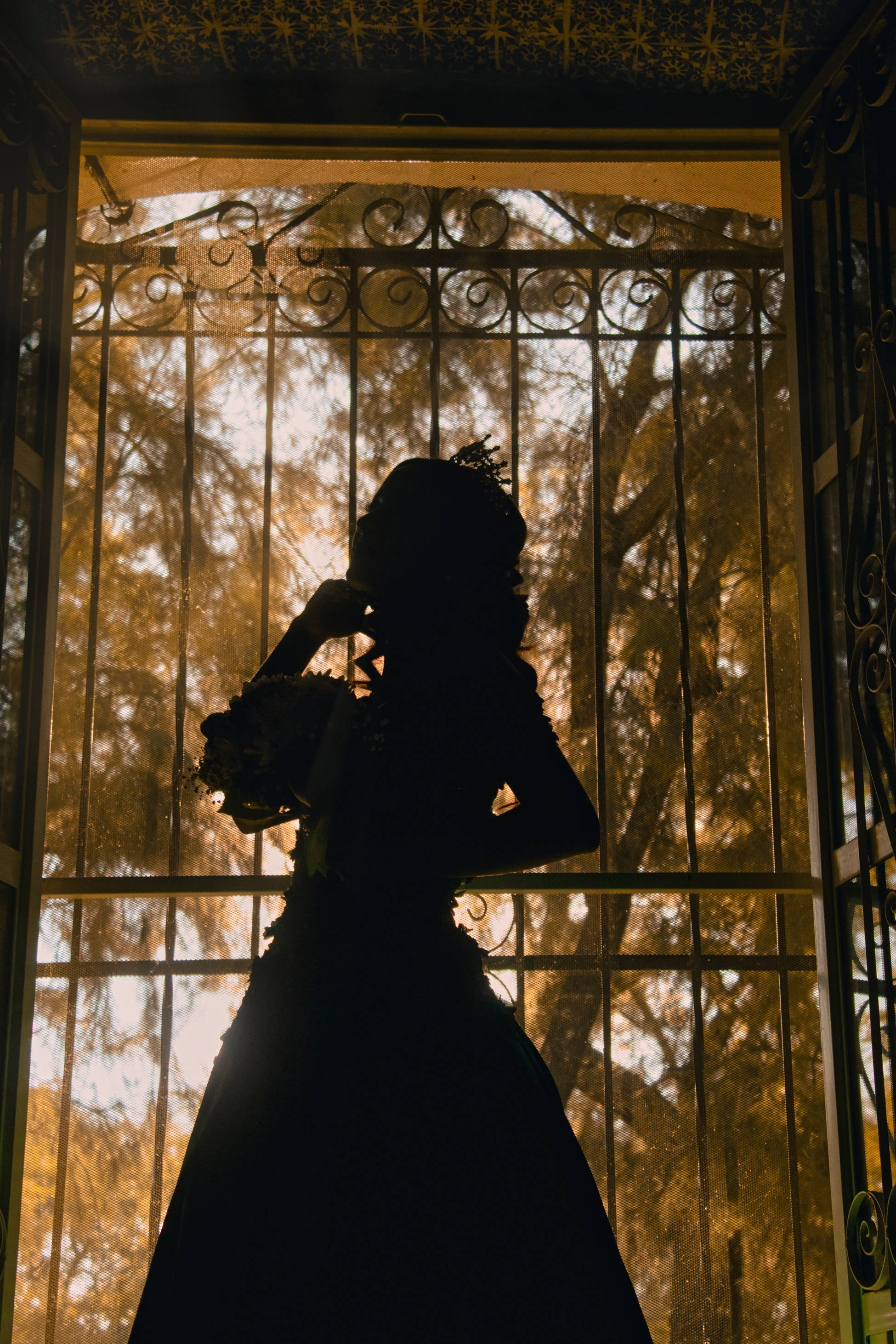 Silhouette of a Girl near a Door