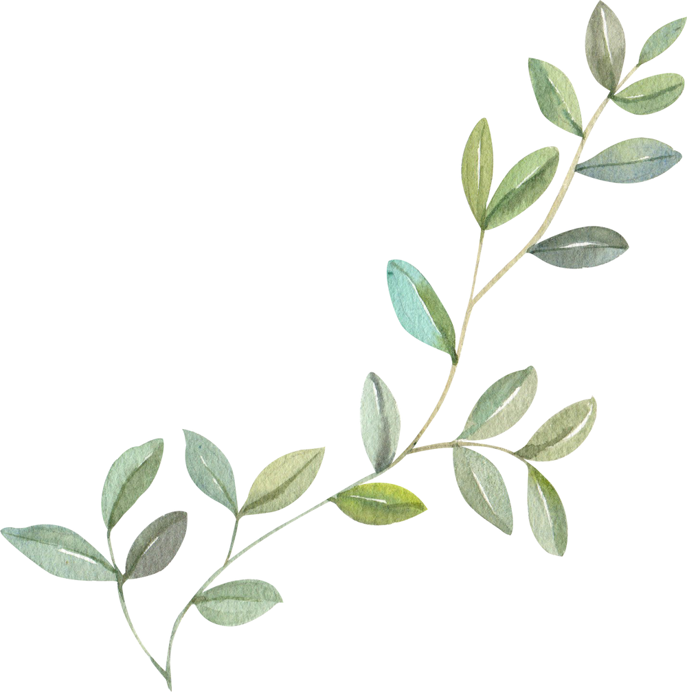 Watercolor Plant Branch